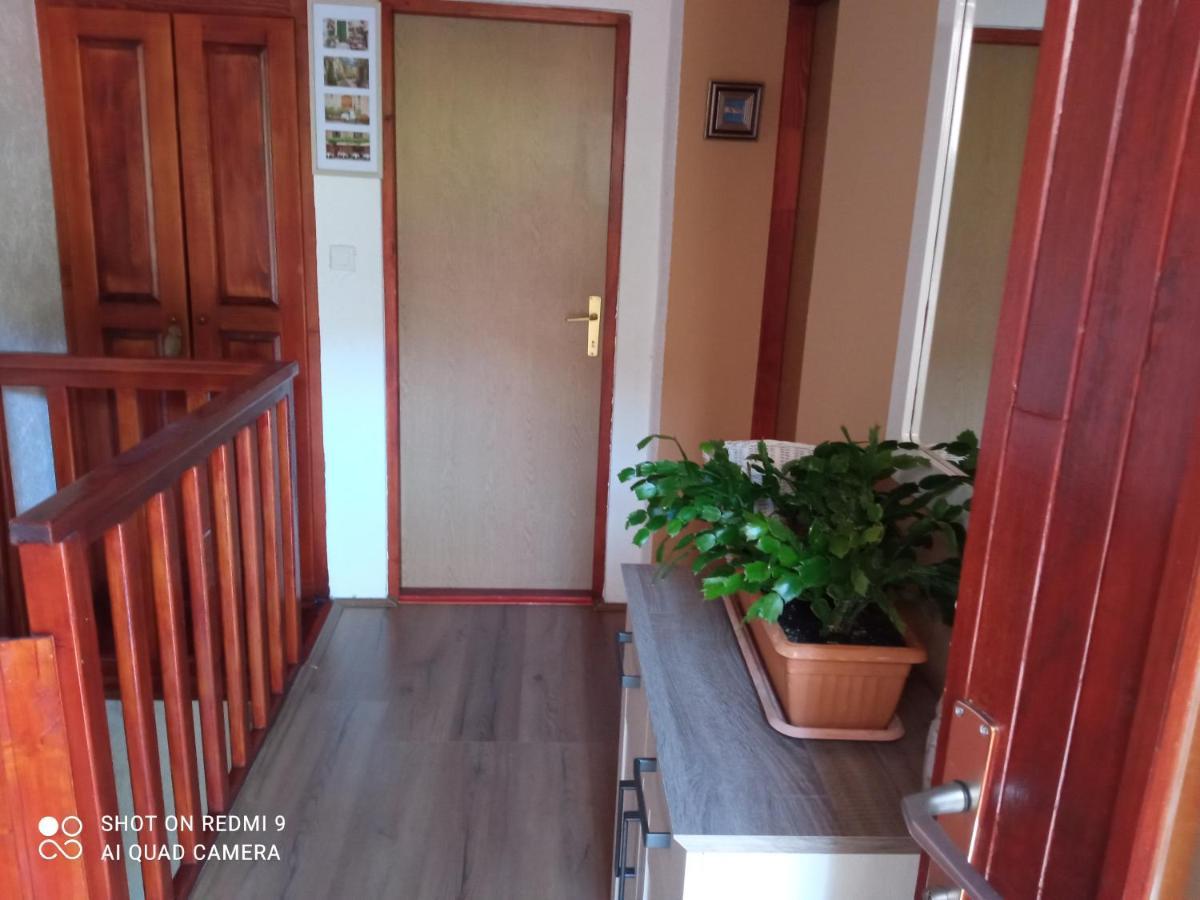 Ruza Apartment Skradin Bagian luar foto