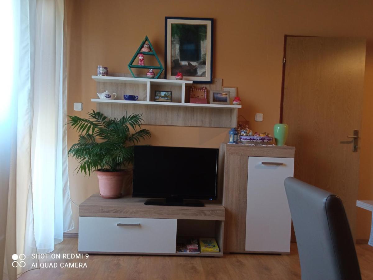Ruza Apartment Skradin Bagian luar foto