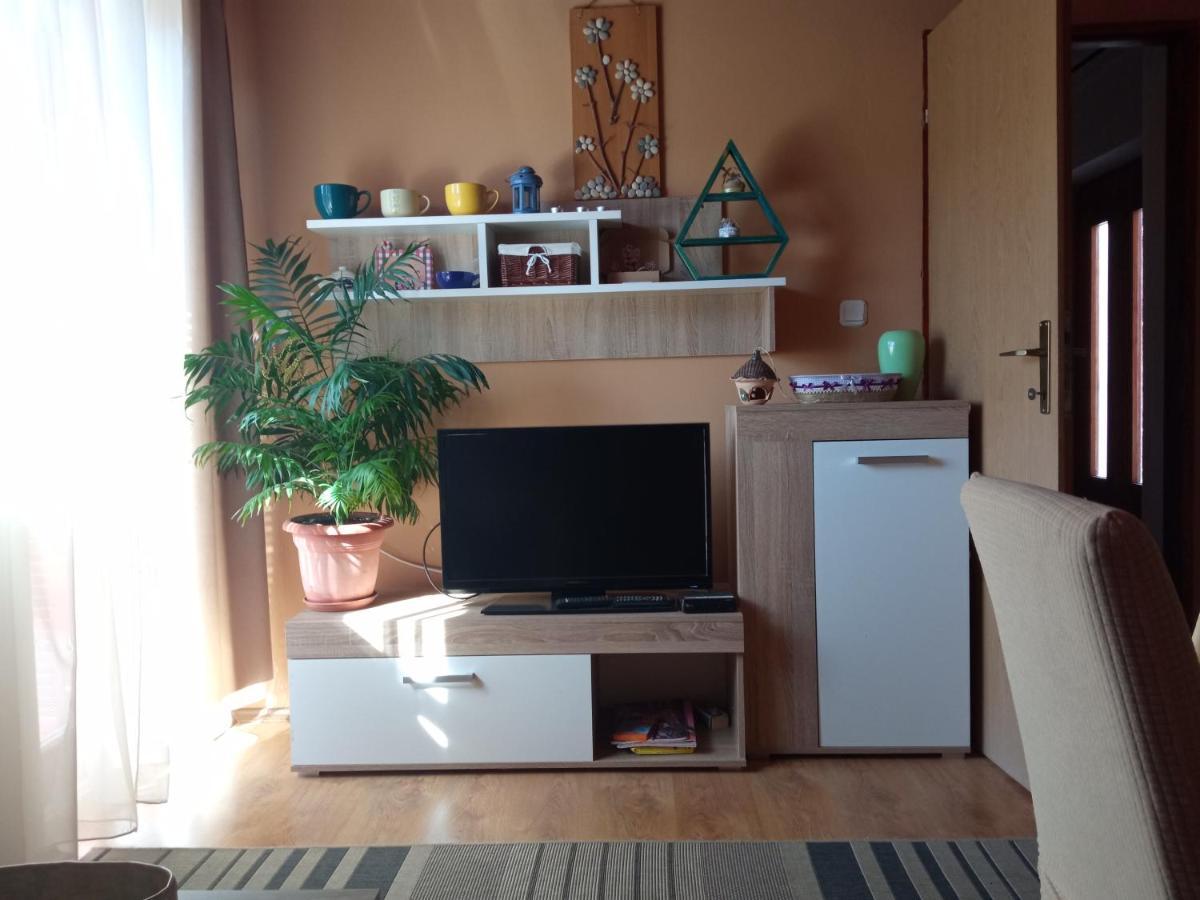 Ruza Apartment Skradin Bagian luar foto